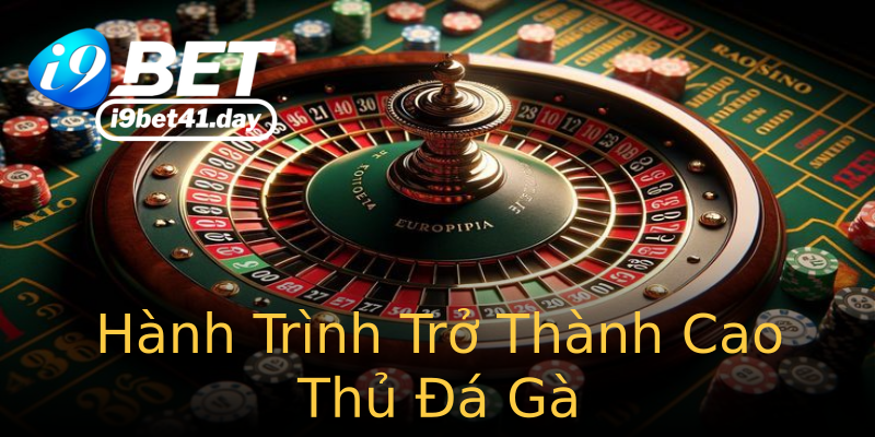 Hành Trình Trở Thành Cao Thủ Đá Gà Hành Trình Trở Thành Cao Thủ Đá Gà