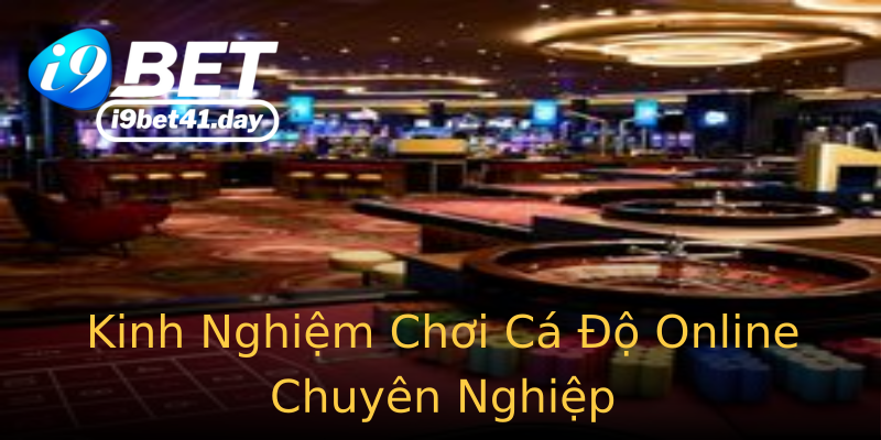 Kinh Nghiệm Chơi Cá Độ Online Chuyên Nghiệp Kinh Nghiệm Chơi Cá Độ Online Chuyên Nghiệp
