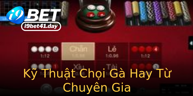 Kỹ Thuật Chọi Gà Hay Từ Chuyên Gia Kỹ Thuật Chọi Gà Hay Từ Chuyên Gia