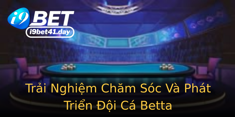 Trải Nghiệm Chăm Sóc Và Phát Triển Đội Cá Betta Trải Nghiệm Chăm Sóc Và Phát Triển Đội Cá Betta